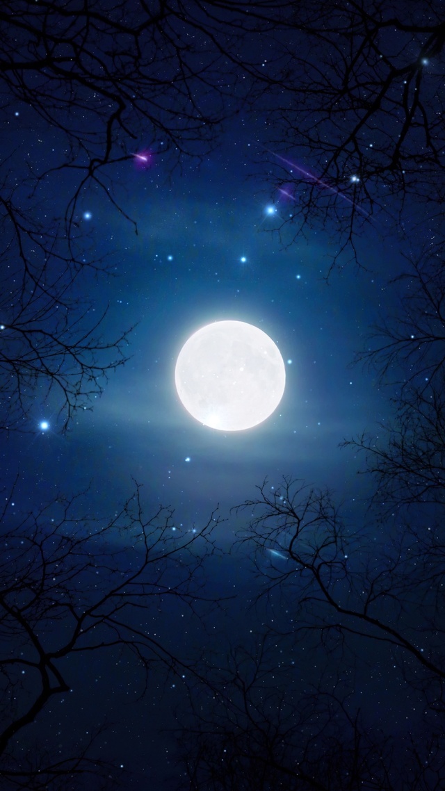 一起看流星