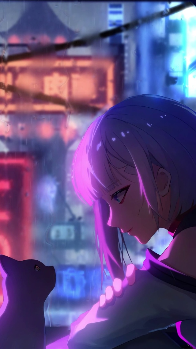 女孩和猫