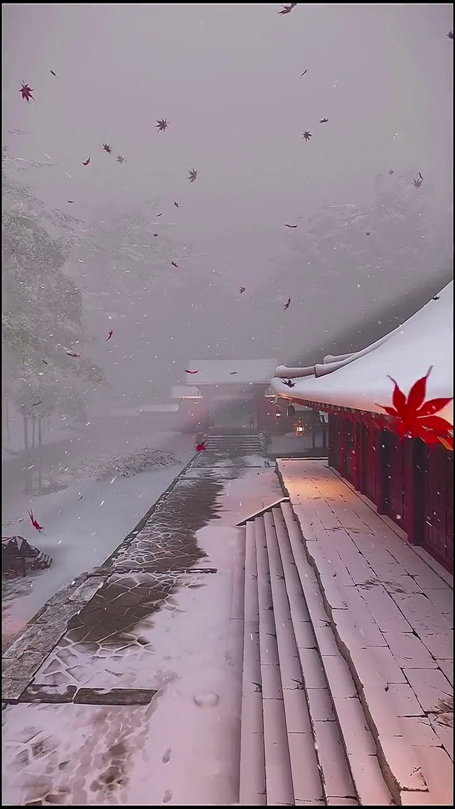 你离开我的城 大雪纷飞