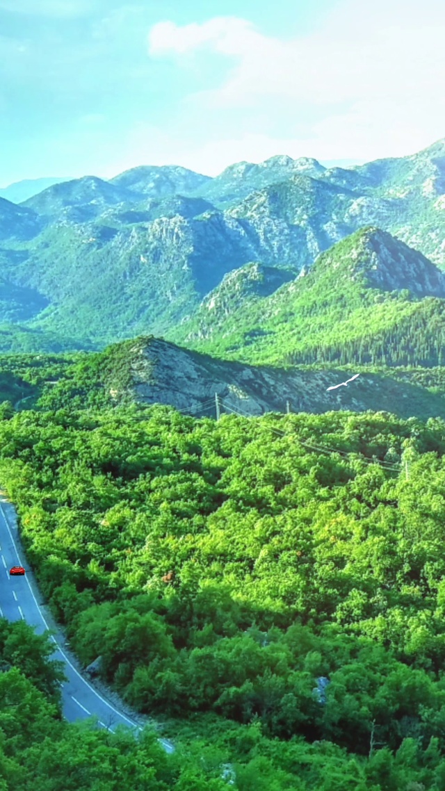 僻静山谷，飞鸟翱翔