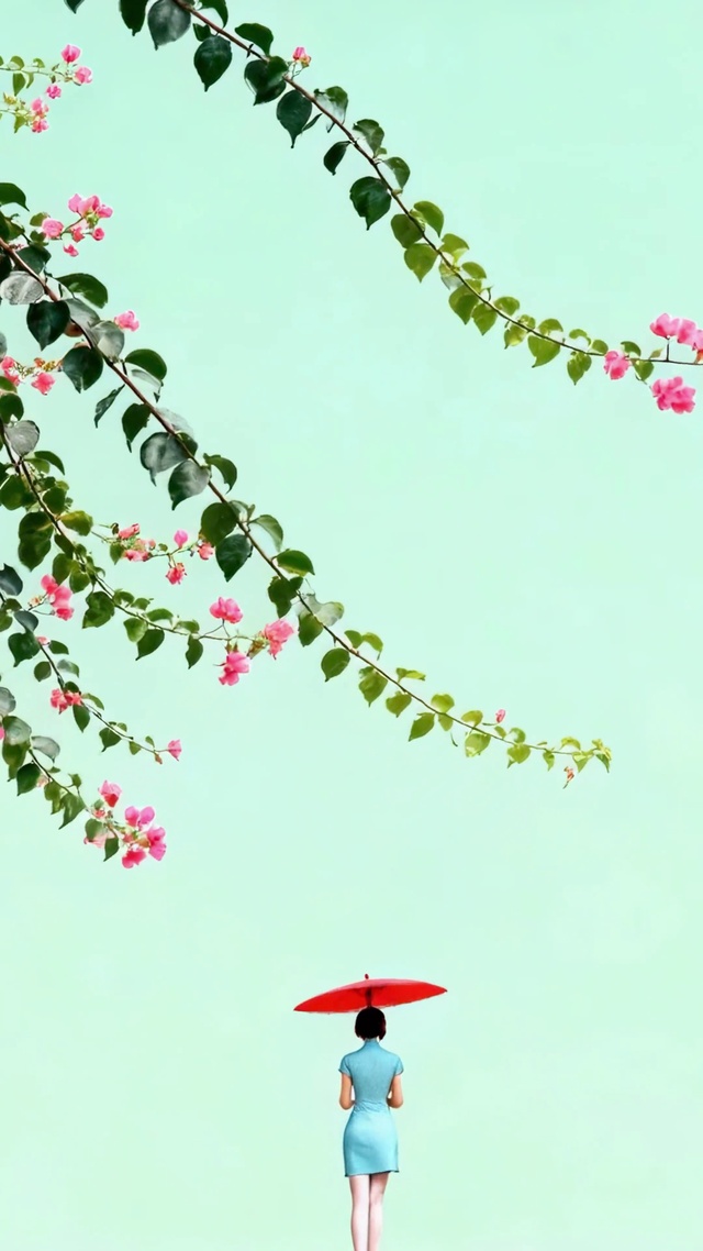 樱花下的静谧背影