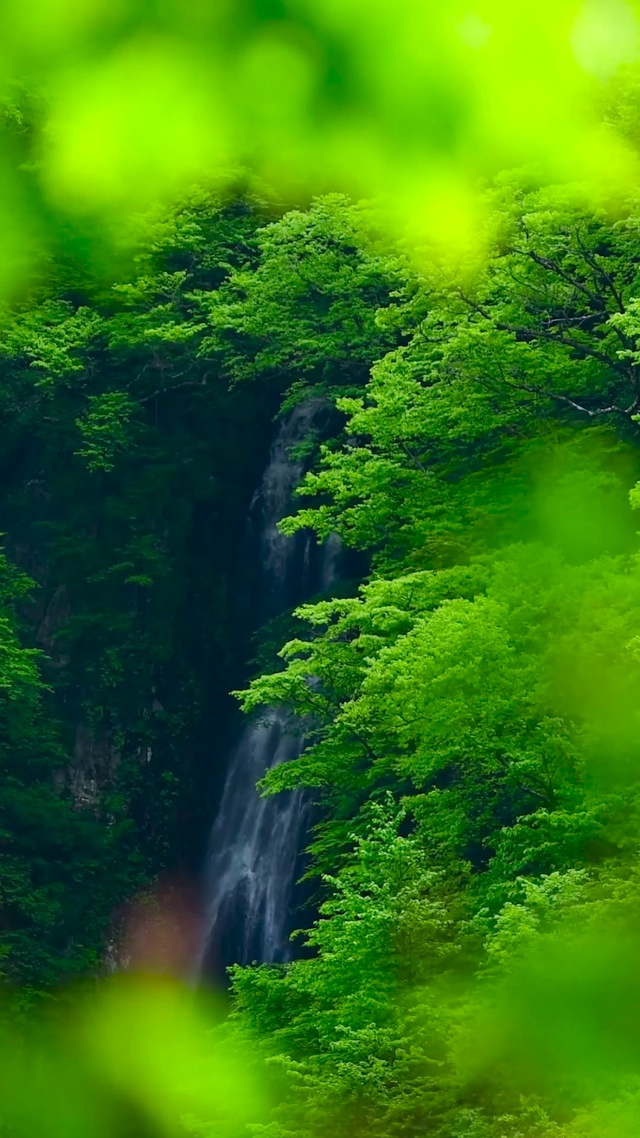 清新护眼山间瀑布