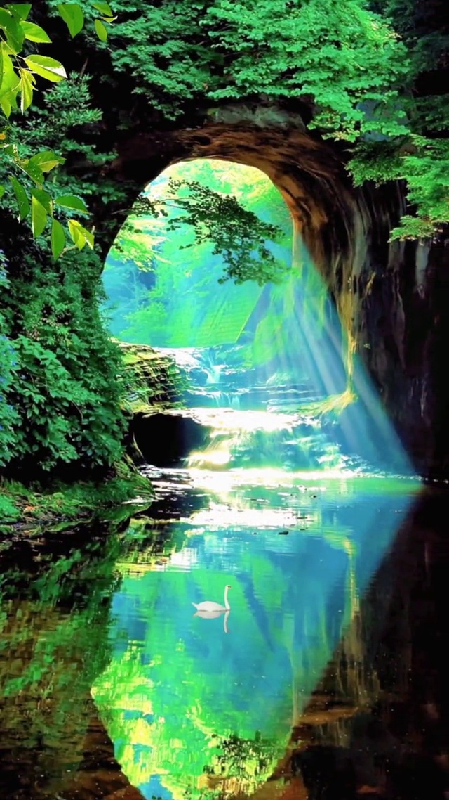 一年四季风景变化