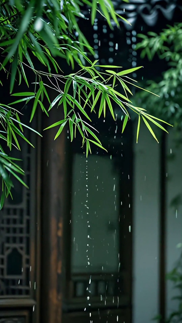 竹林听雨