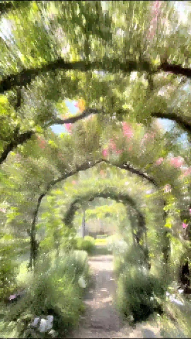 梦幻花园