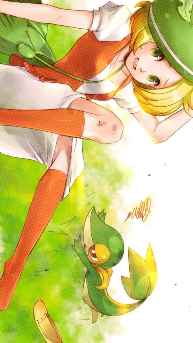 口袋妖怪训练师