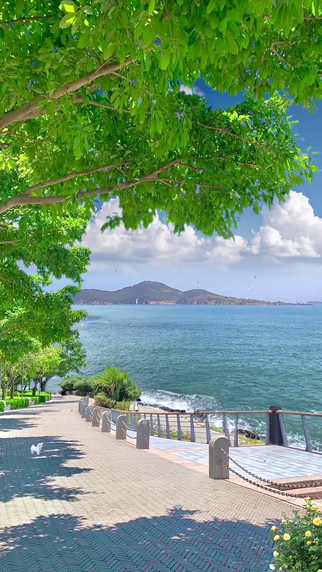 阳光正好，微风不燥，开始享受大海的味道