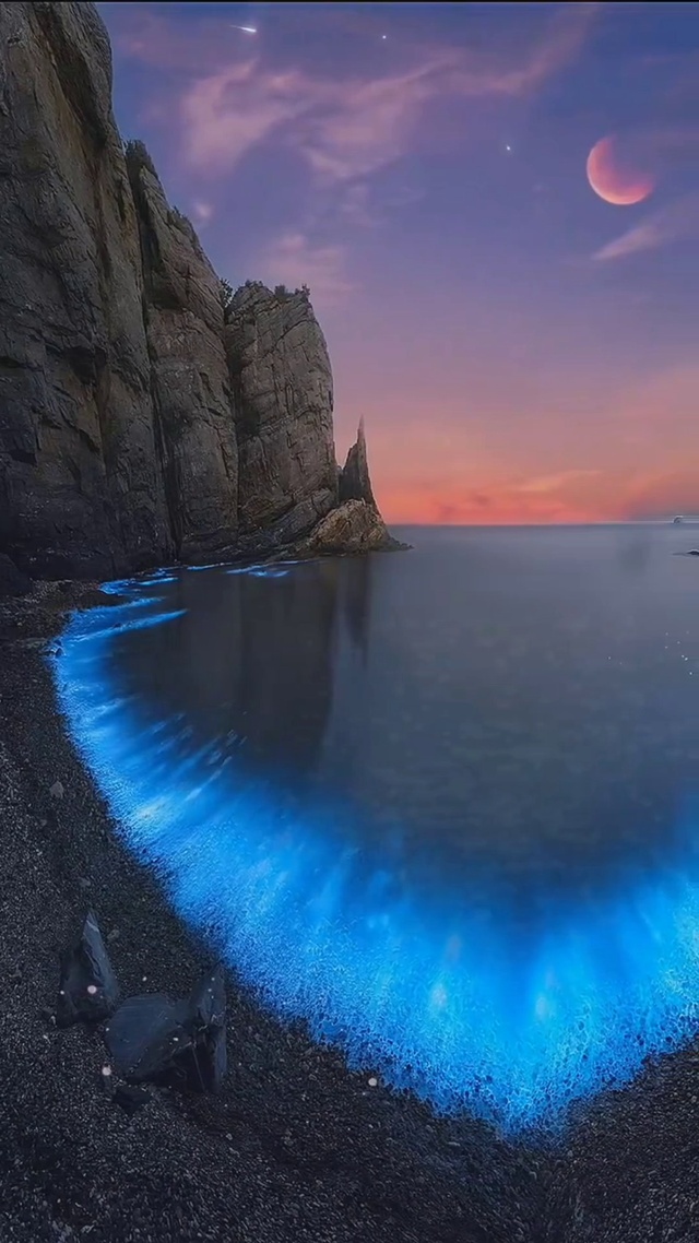 蓝眼泪