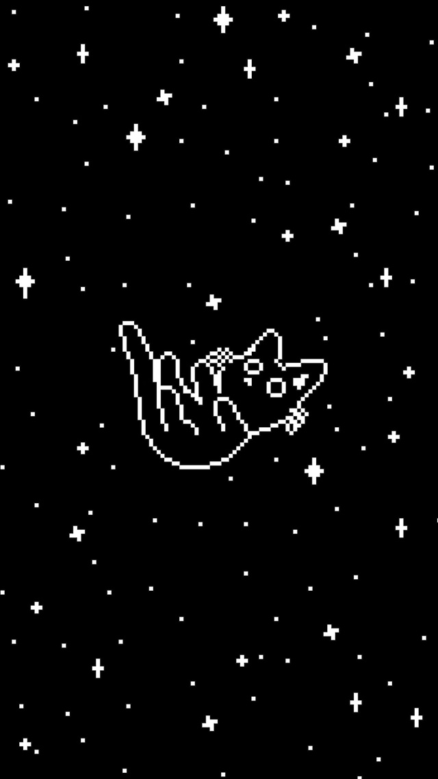 星空小猫