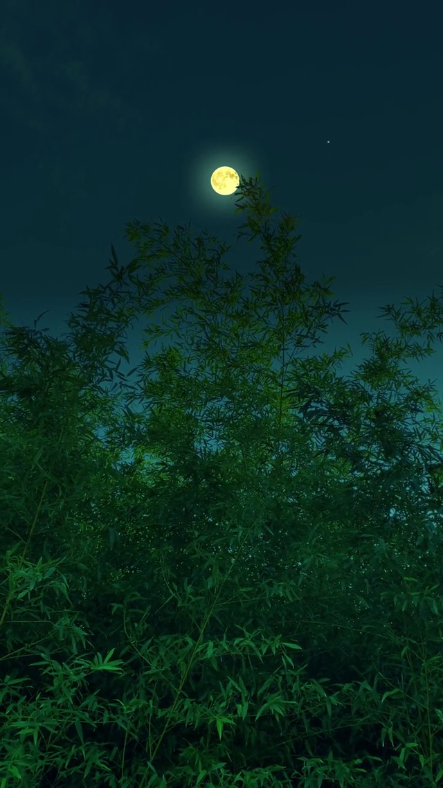 良辰美景