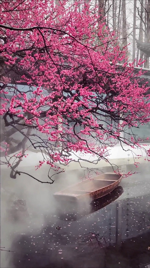 江南美景