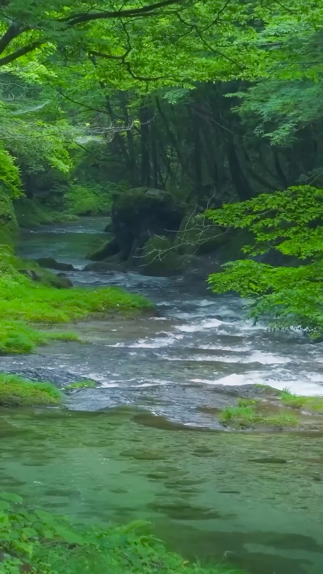 护眼绿林山涧溪流
