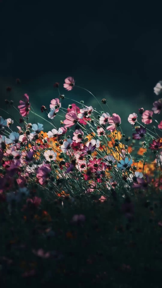 花予