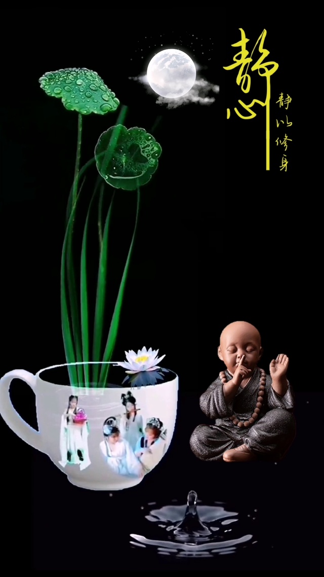静心禅意