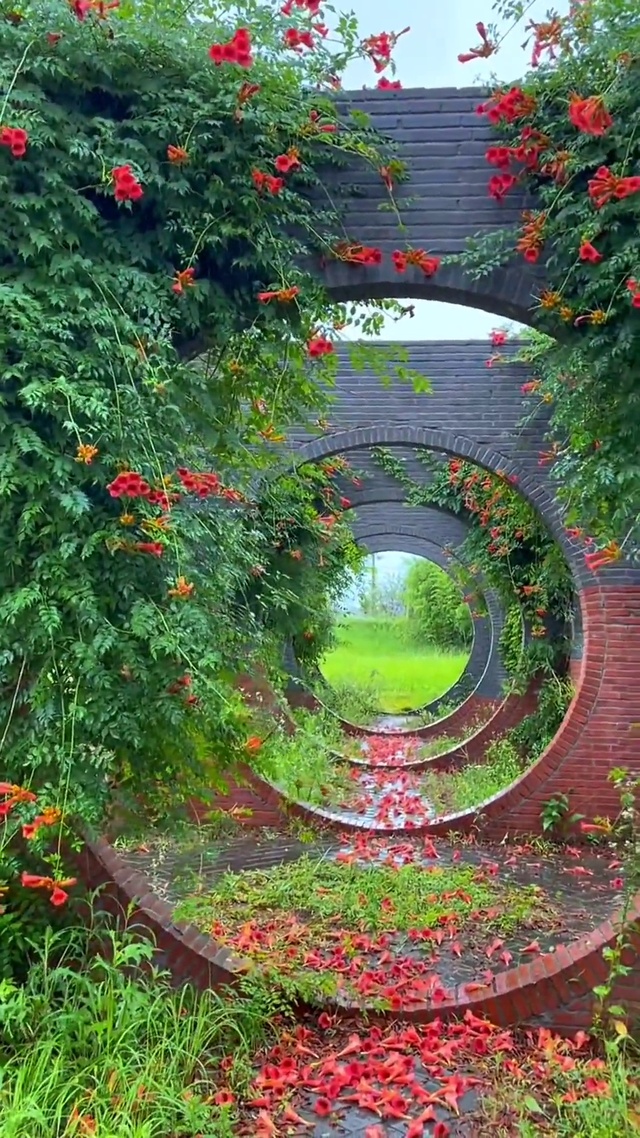 花开有期 花落无声