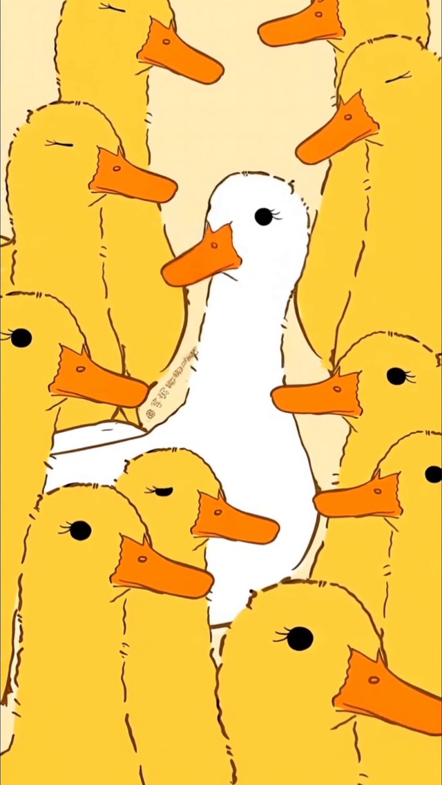 鸭子