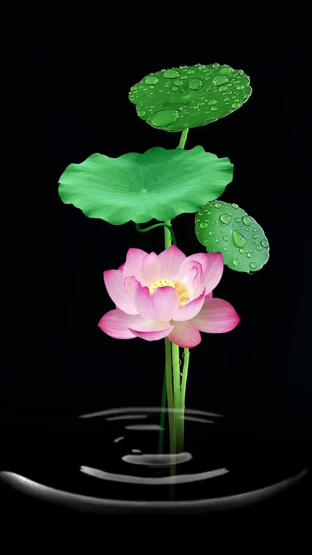 水滴解压