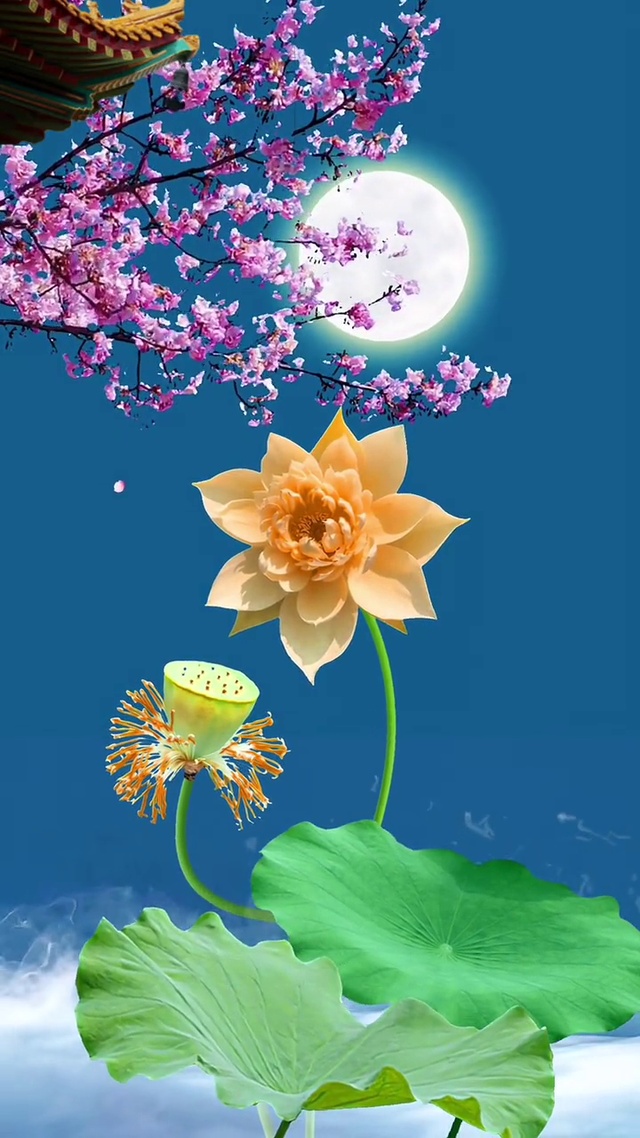 梅花与荷花哪个好看