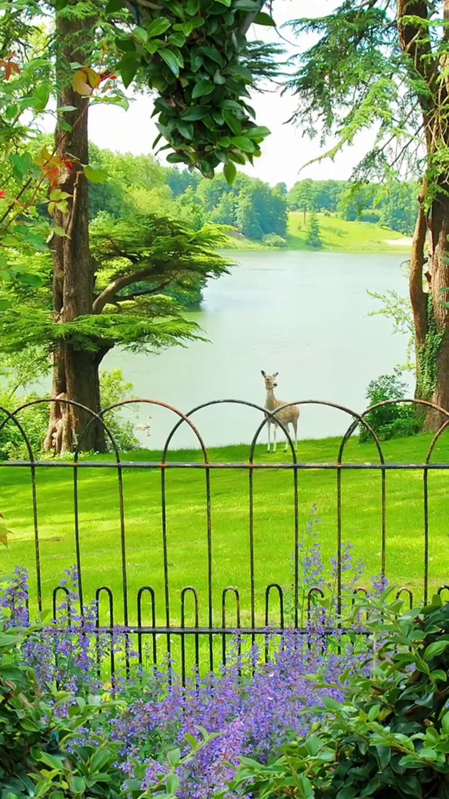 步子小也好，慢也好，还是走完了十一月，走向十二月。