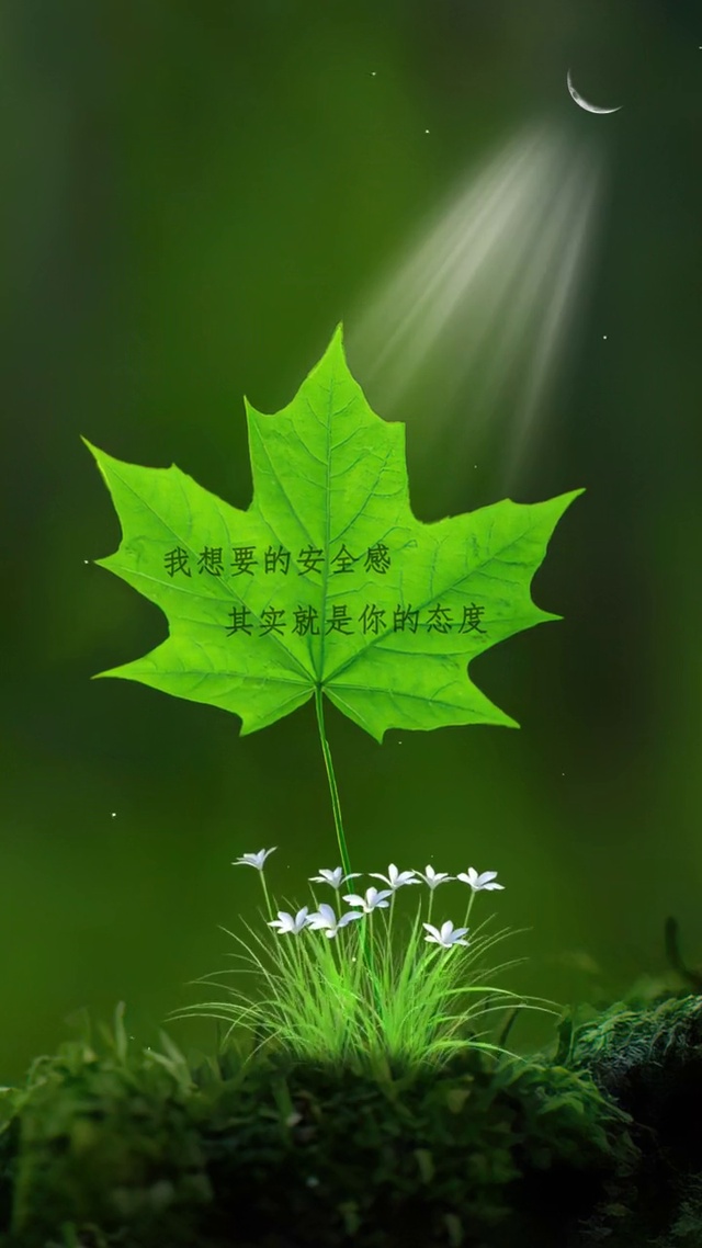 我想要的安全感，其实就是你的态度