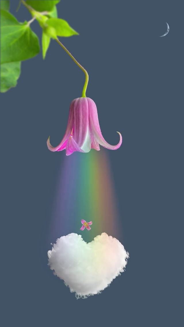 喇叭花