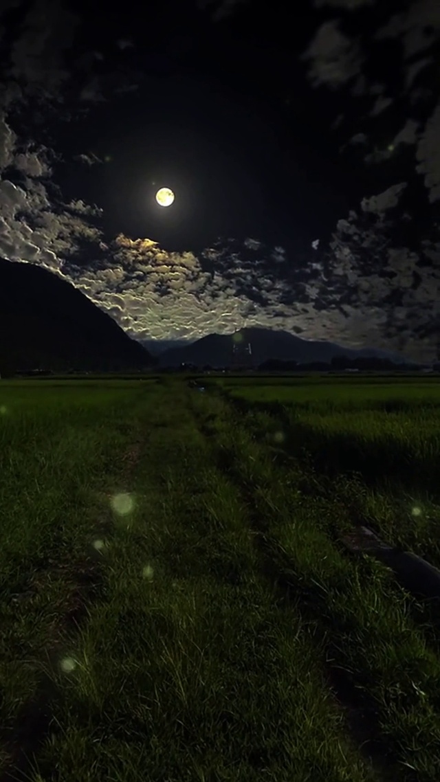 乡村夜晚小路(风景手机动态壁纸) - 风景手机壁纸下载 - 元气壁纸