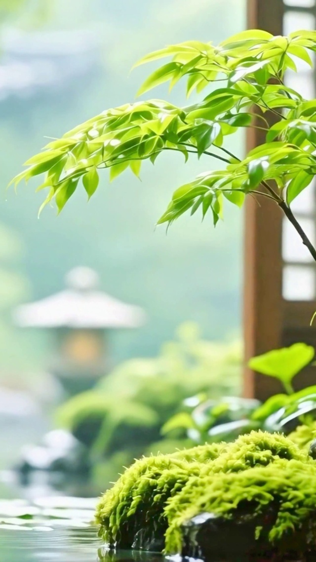 护眼治愈庭院4K