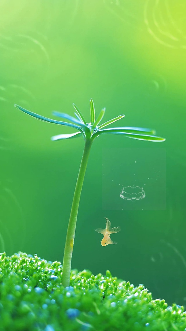你的眼睛最珍贵，换张护眼壁纸吧。