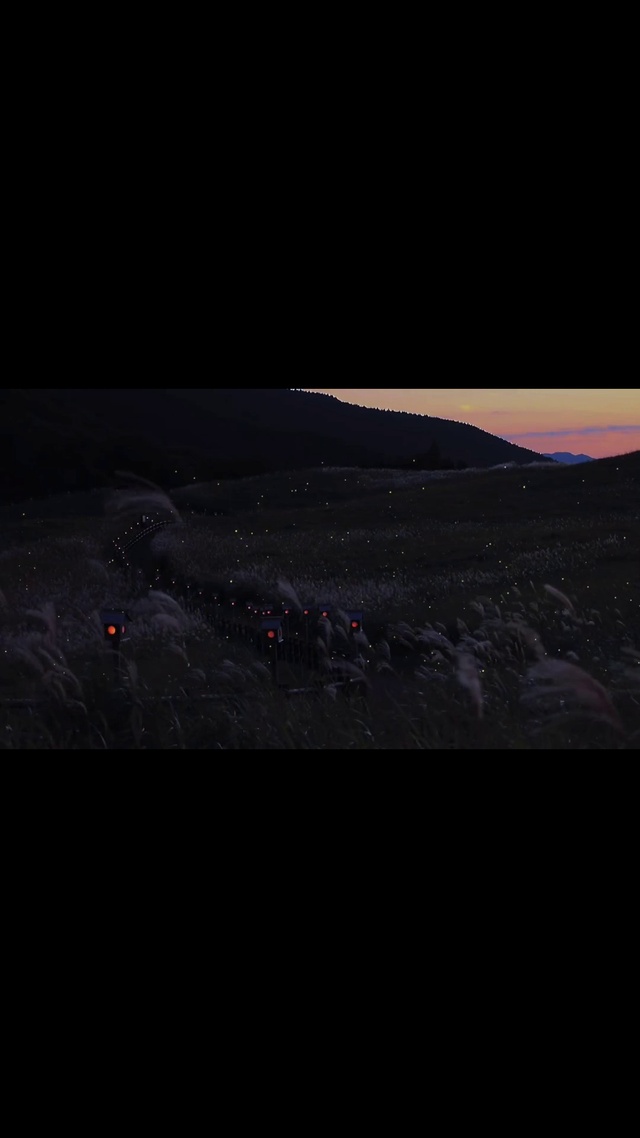 萤火点点，星星点点