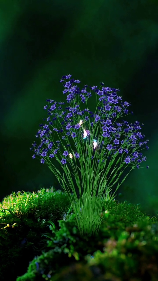 风很温柔，花很浪漫，世界也很美，有你真好