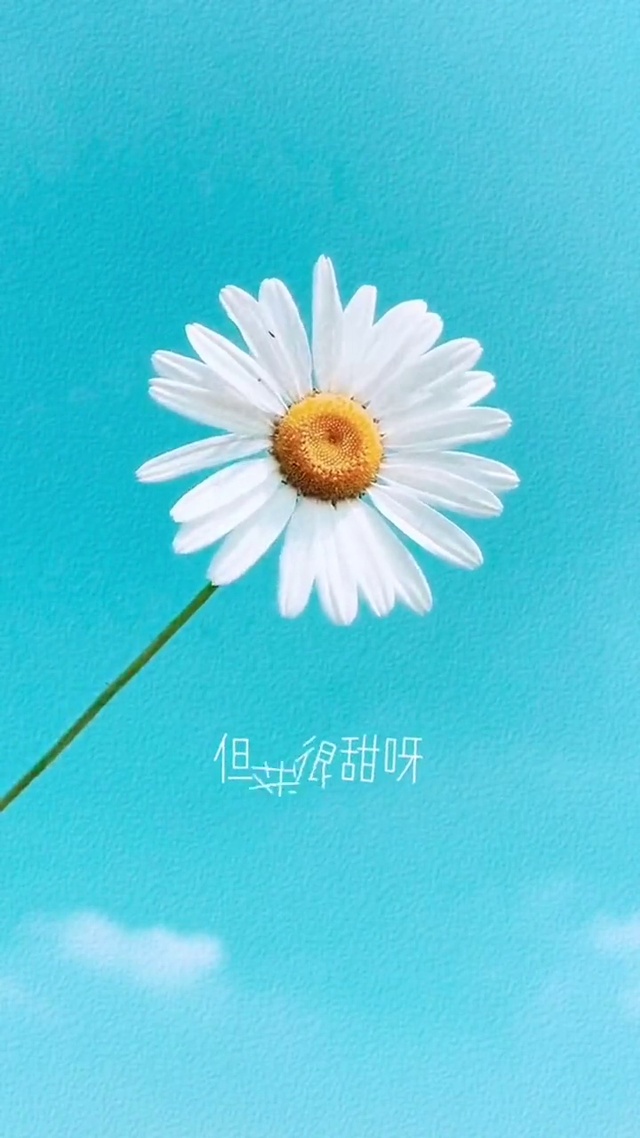 生活很苦，但我很甜呀