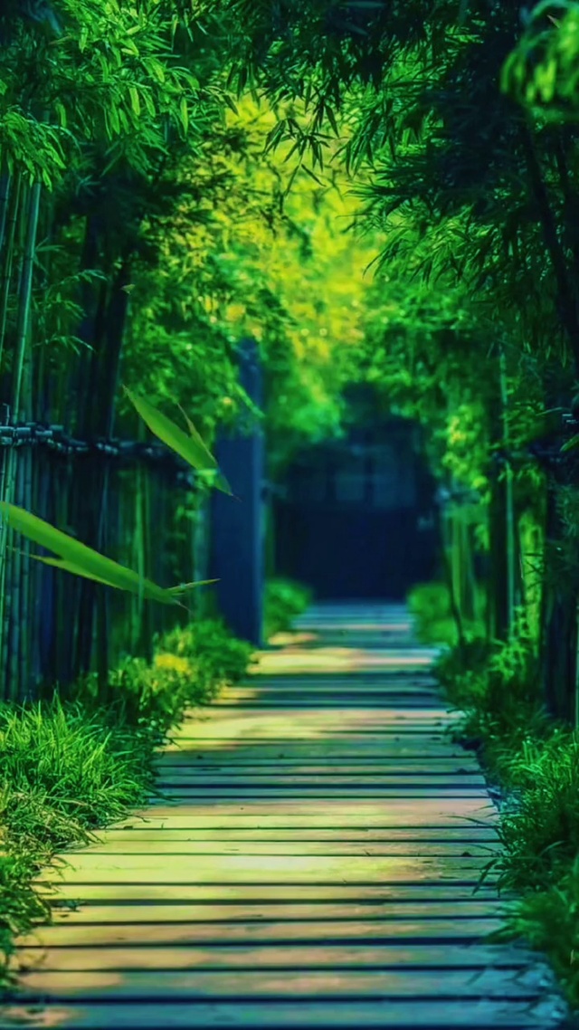 深意总迟解将爱却晚秋”的意思是：人总是在后来的日子里才明白自己错过的到底是什么！