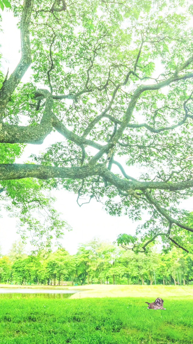 等风气，等再次相遇