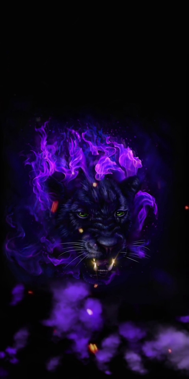 紫色暗影黑豹