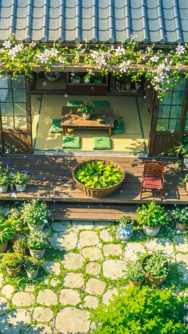 夏日木屋小院