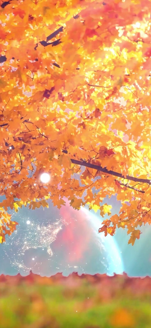 阳光银杏