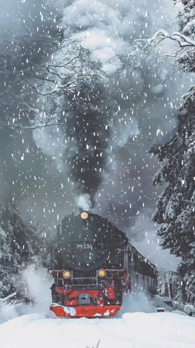 回家的路雪景