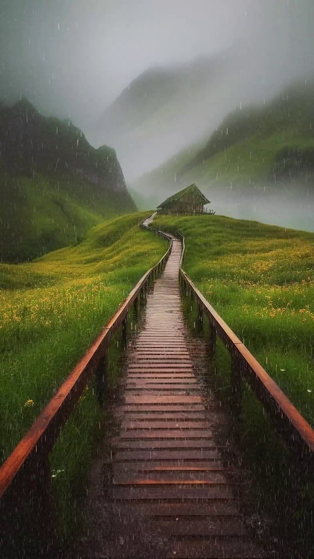 青山细雨蒙蒙