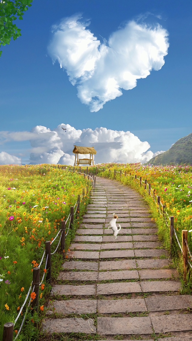 可治愈系可爱小狗