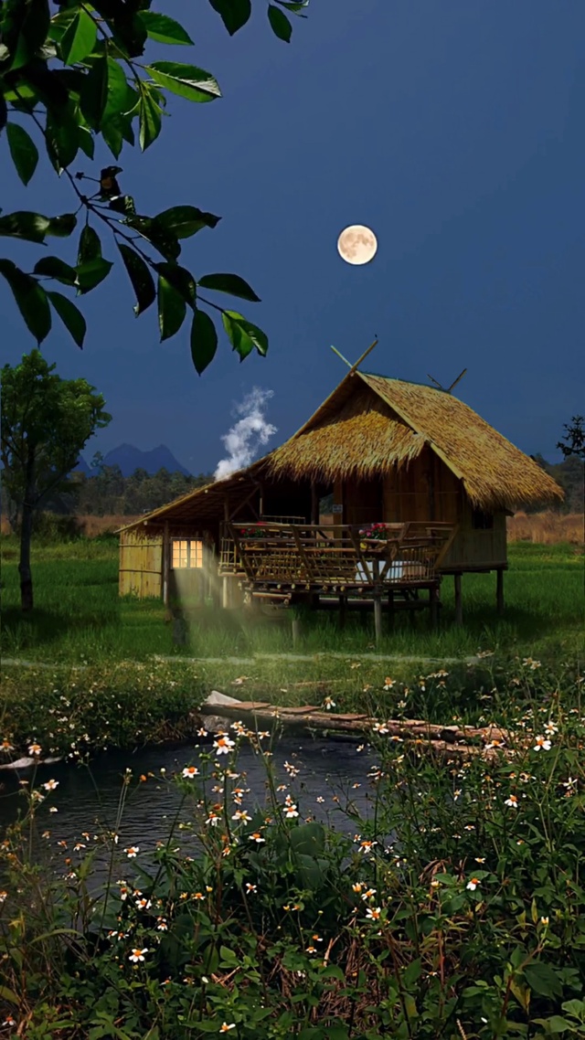 美丽夜景