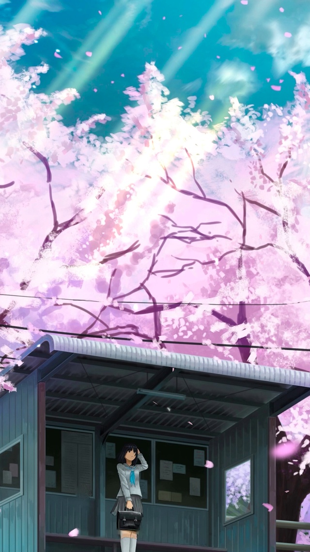 樱花站台