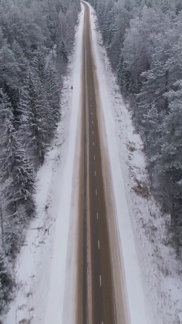雪天森林公路