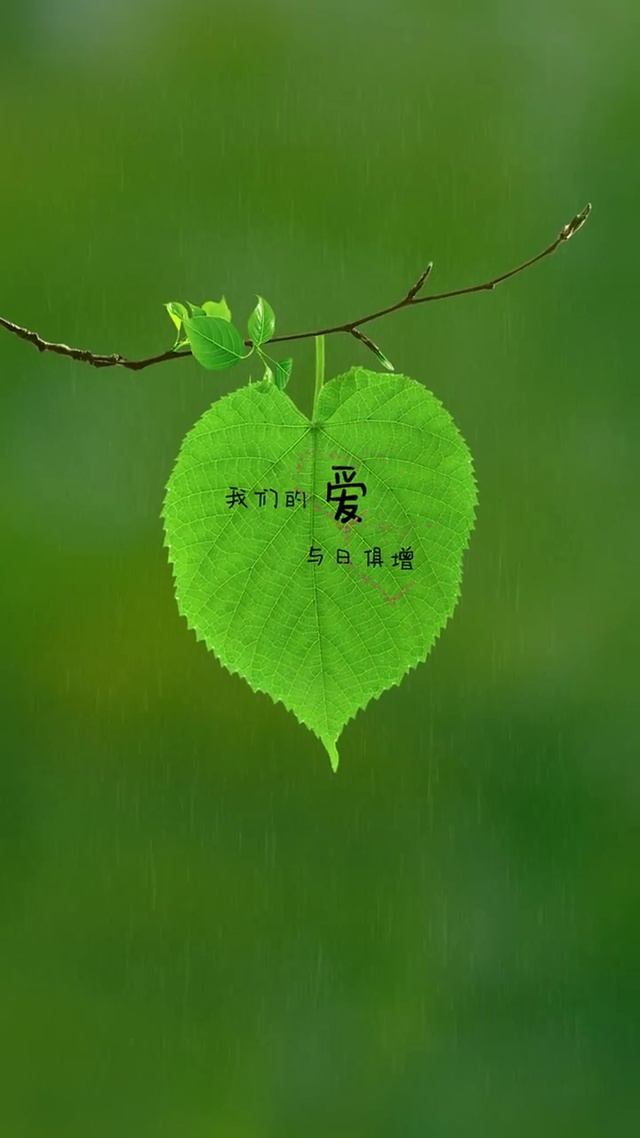 我们的爱与日俱增