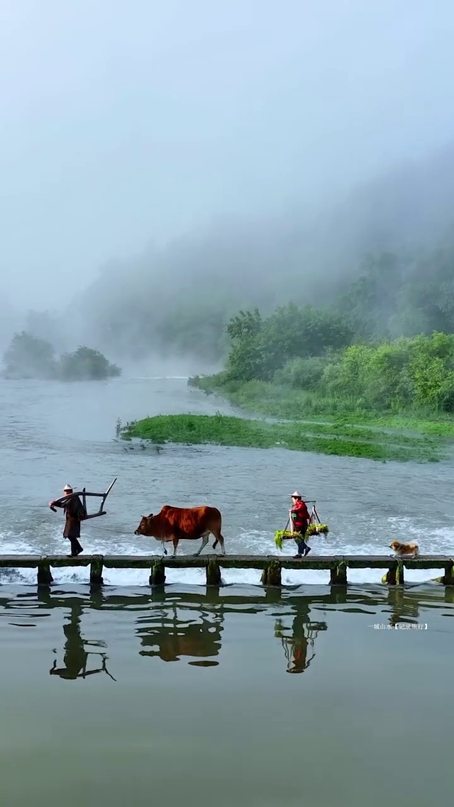 治愈美景