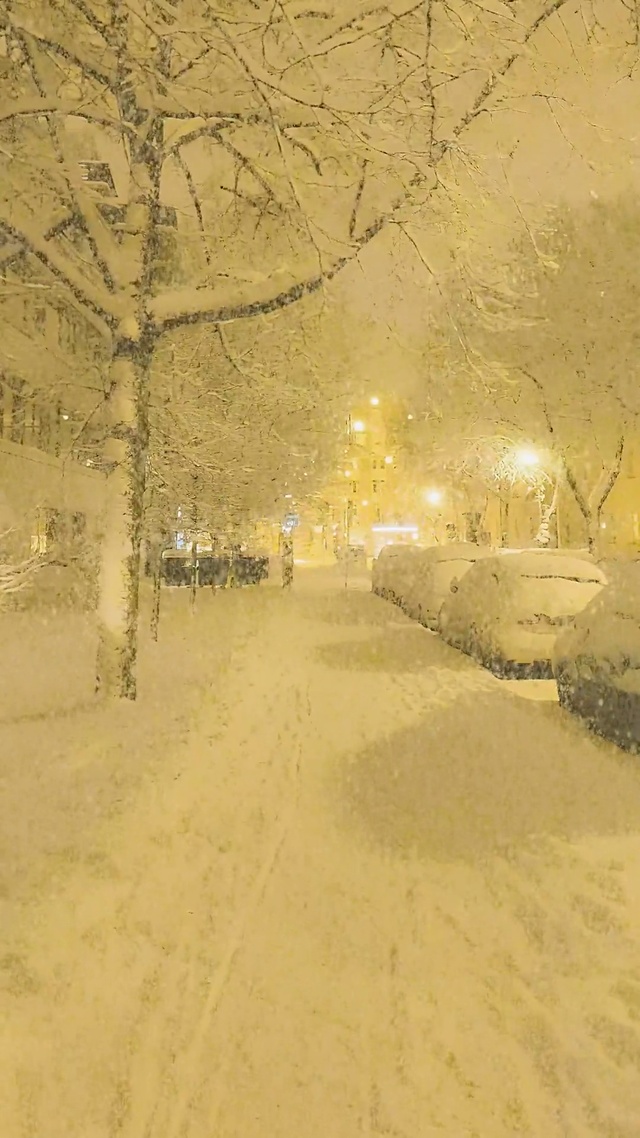 爆款夜晚下雪壁纸