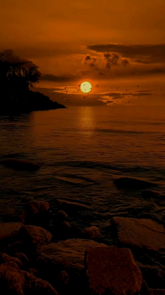 落霞与孤鹜齐飞，秋水共长天一色