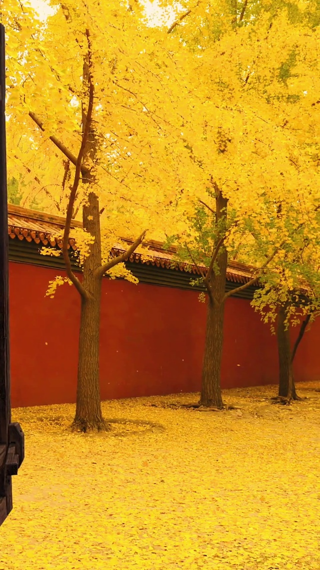 入目无别人，四下皆是你，我见众生皆草木，唯有见你是青山。