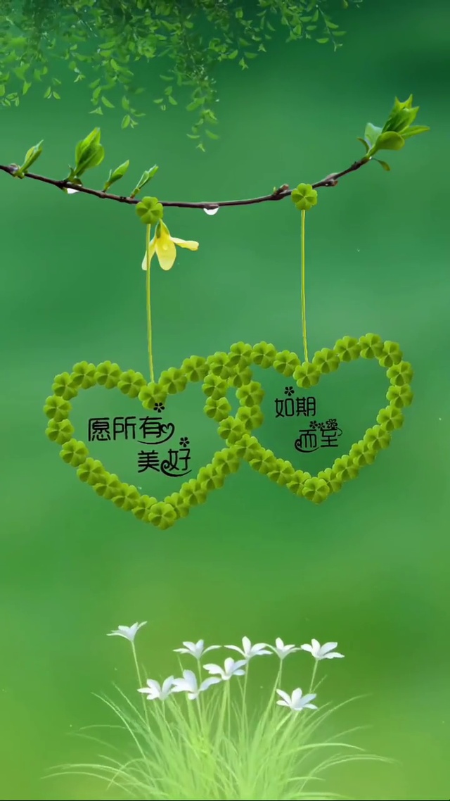 愿所有的美好如期而至