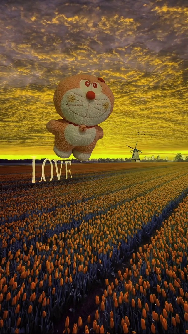 ฅʕ•̫͡•ʔฅ电影和你看才好看，郁金香花海有你才最浪漫