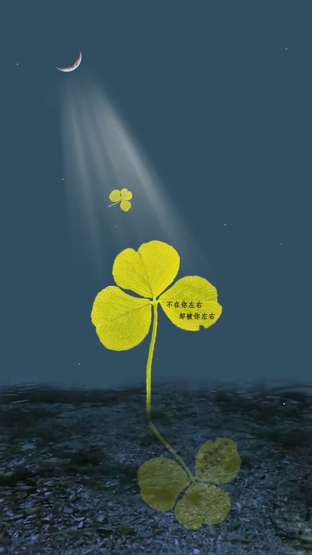 被你左右